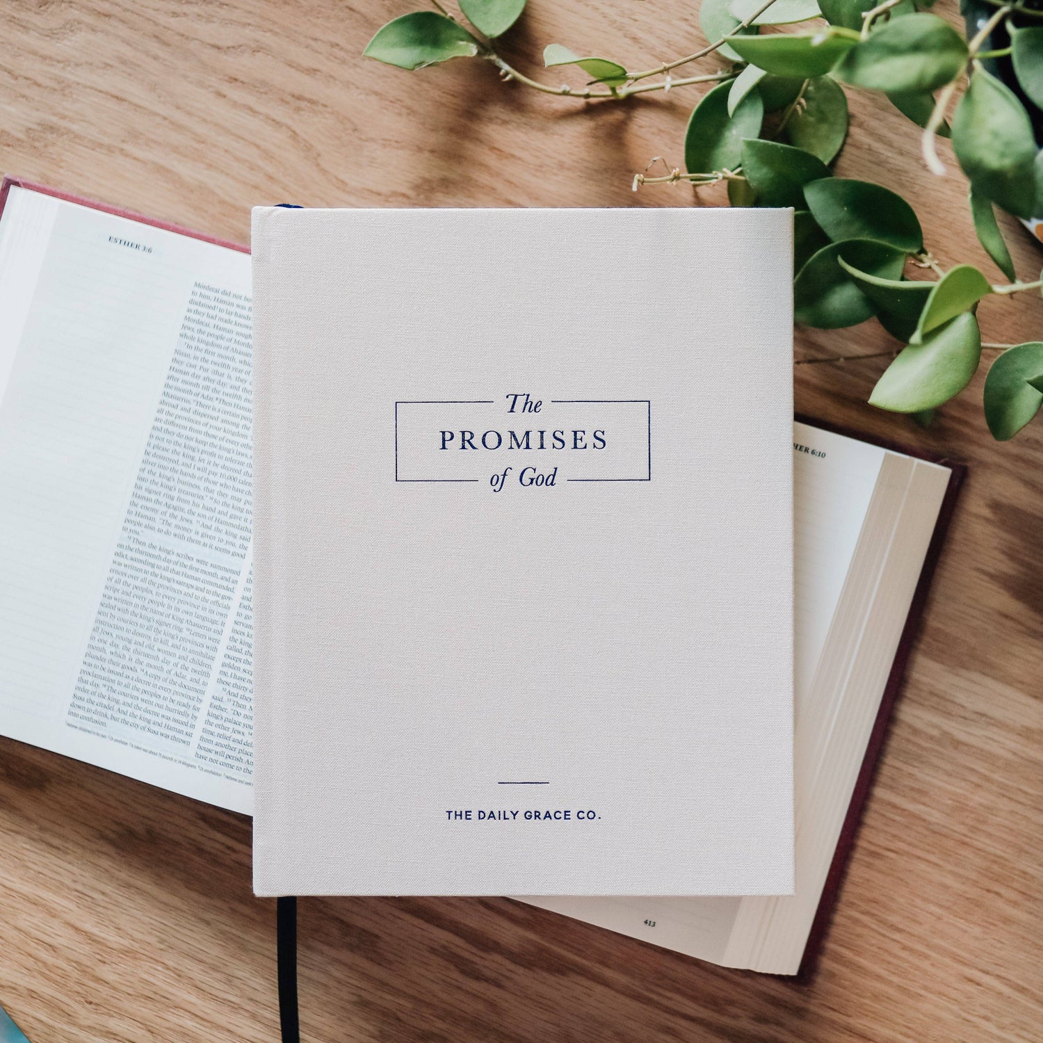 Coffee Table Books