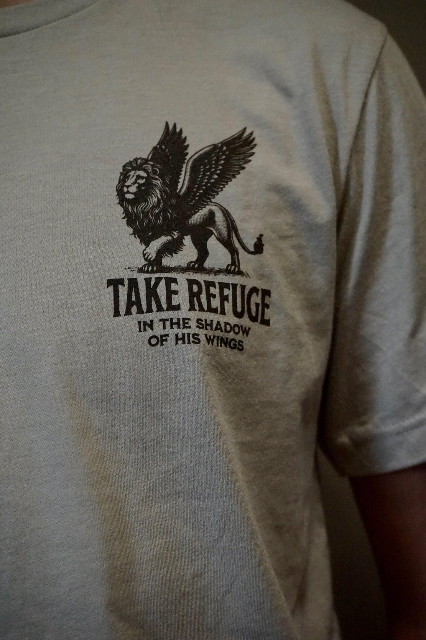 Take Refuge Tee- Mens | Christian Tee
